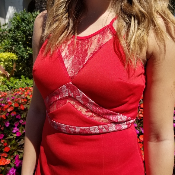 Red Tan Lace Skater Dress with Lace Back - Picture 6 of 7